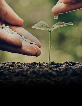 社會(huì)責(zé)任