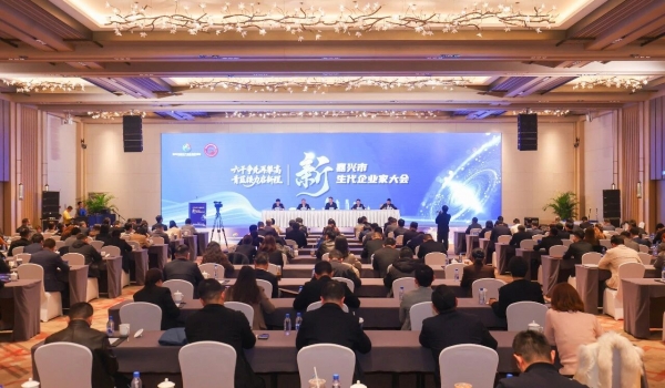 青藍接力啟新程丨潘正強在嘉興新生代企業(yè)家大會上談民企“傳與承”